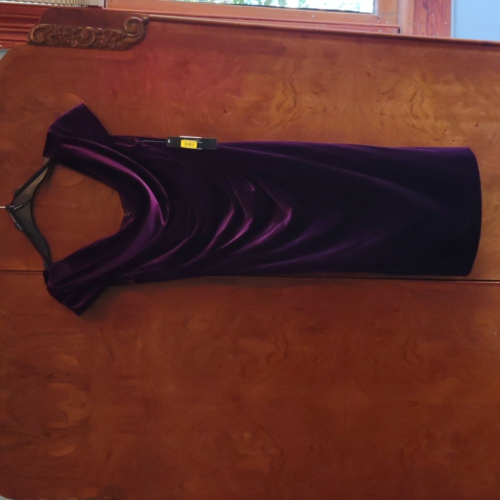Beautiful Velvet dress